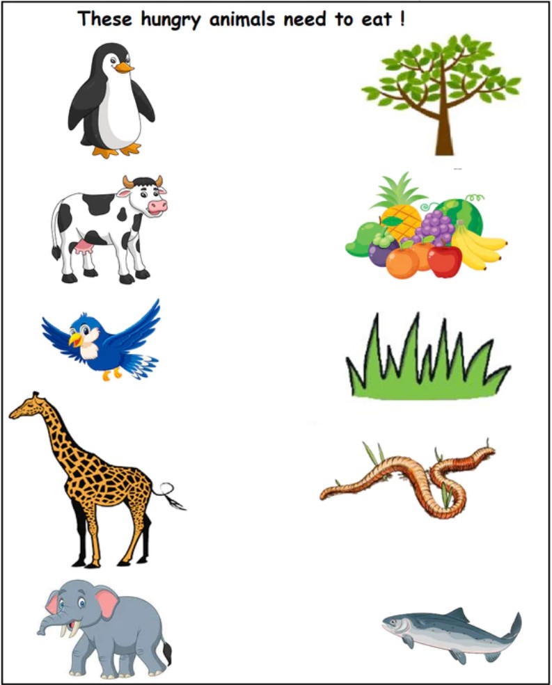 Free Science Worksheets For Kindergarten Printable Kindergarten 