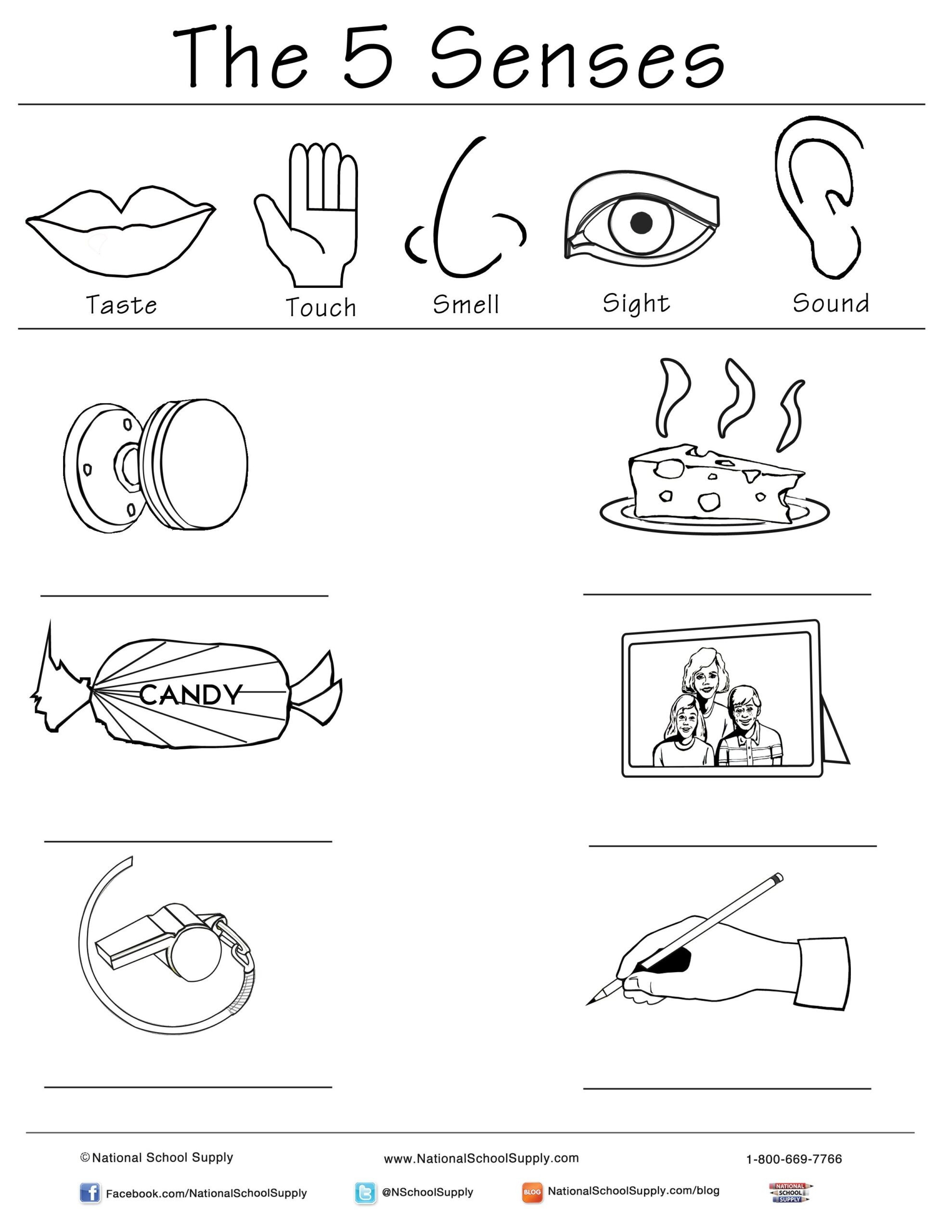 5 Senses Printable For Kindergarten Classrooms