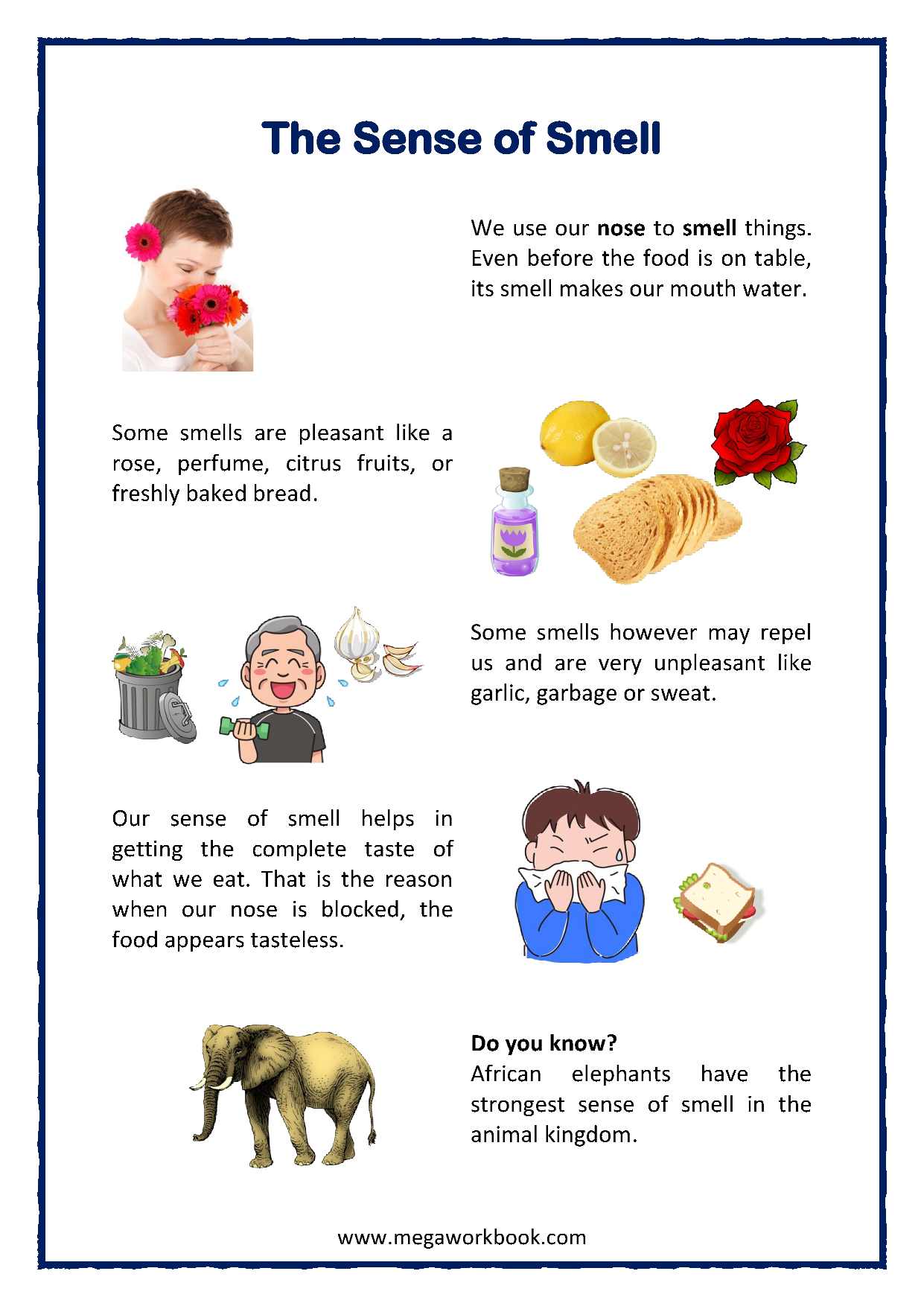 Five Senses Worksheets For Preschool And Kindergarten MegaWorkbook - How To Take Care Of Your Eyes Kindergarten Worksheets
