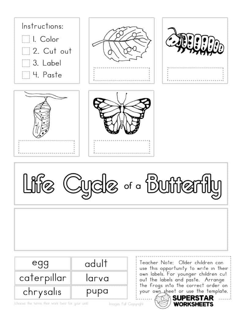 Free Kindergarten Science Worksheets