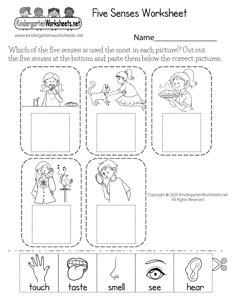 Science Worksheets For Kindergarten Free