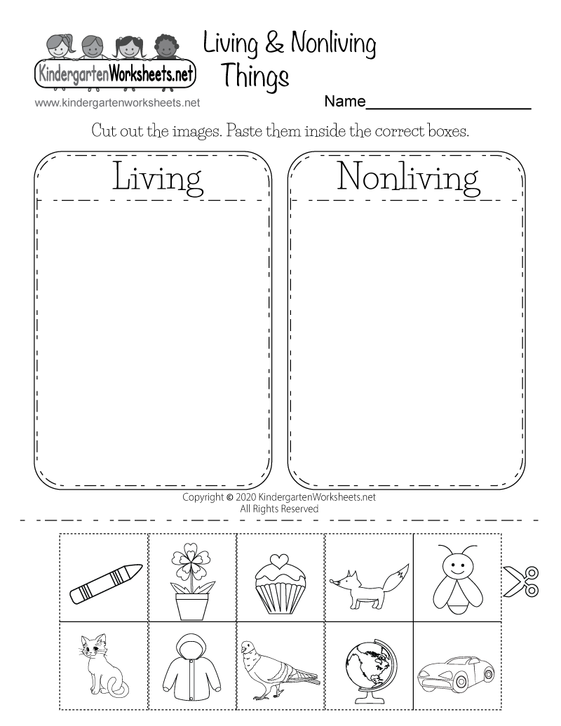 Living And Nonliving Things Worksheet Free Printable Digital PDF - Science Worksheets For Kindergarten Free