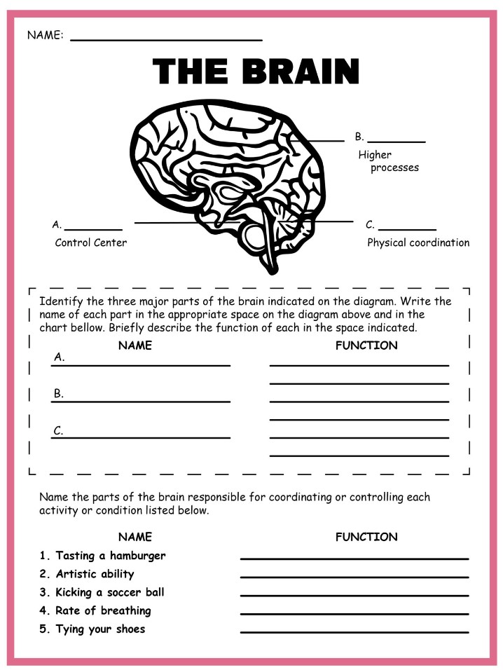 Free Printable Science Worksheets For Kindergarten Kindergarten Worksheets