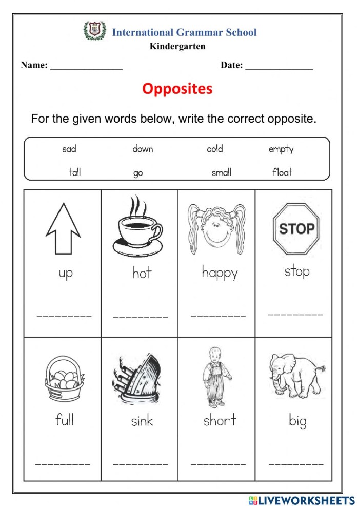 Opposite Worksheets For Kindergarten Printable Free Kindergarten