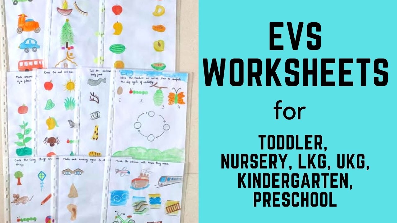 Evs Worksheet For Junior Kg - Kindergarten Worksheets