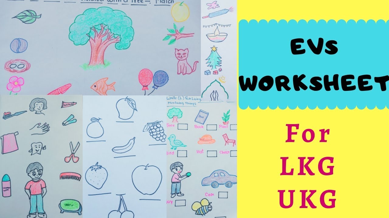 Evs Worksheet For Junior Kg - Kindergarten Worksheets