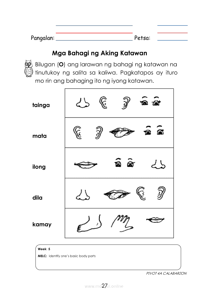 Bahagi Ng Katawan Kindergarten Worksheet - Kindergarten Worksheets