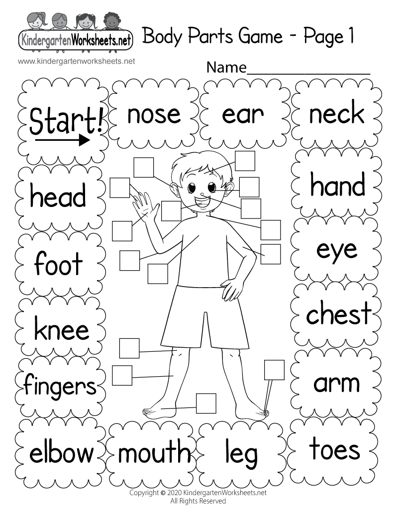 Body Parts Worksheets Kindergarten - Kindergarten Worksheets