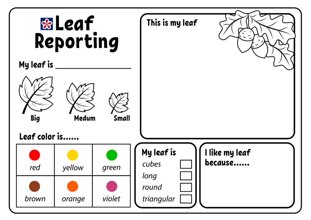 Leaf Worksheets For Kindergarten - Kindergarten Worksheets