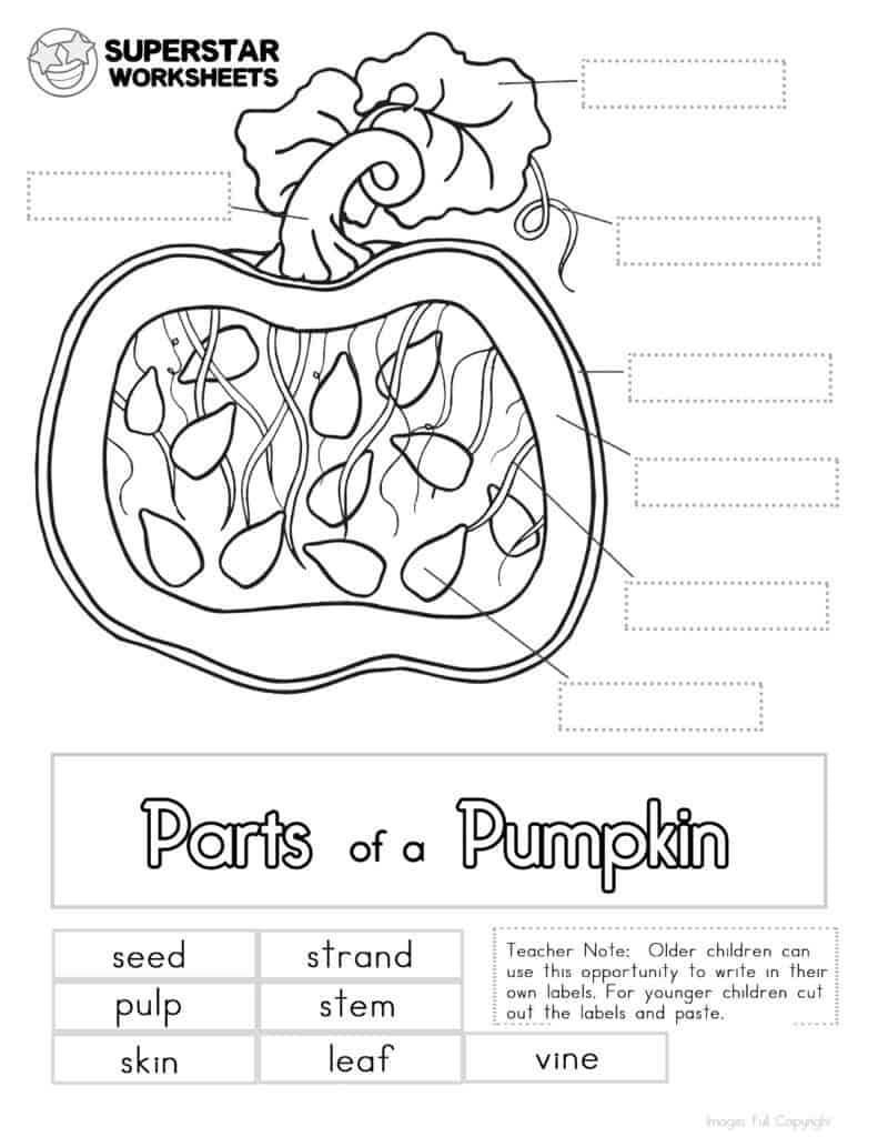 Free Printable Pumpkin Worksheets For Kindergarten Kindergarten